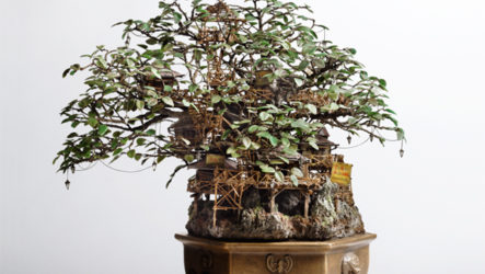 Artisanat de bonsaï incroyable