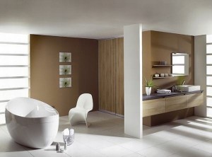 Salle de bain minimaliste luxueuse(2)