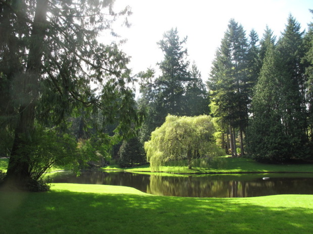 Jardin à l'anglaise