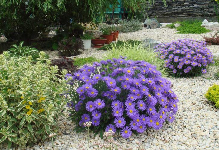 jardin de devant à faire soi-même