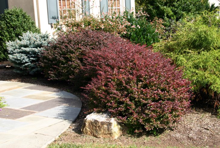 jardin de devant à faire soi-même