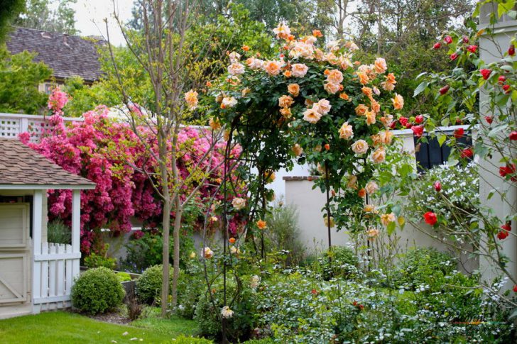 jardin de devant à faire soi-même