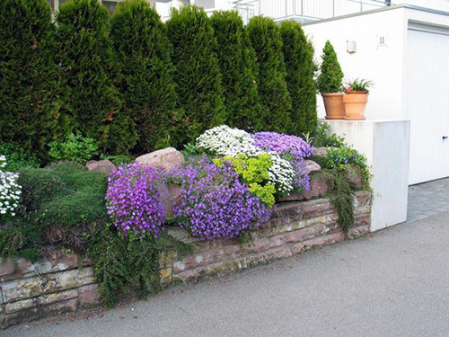 jardin de devant à faire soi-même