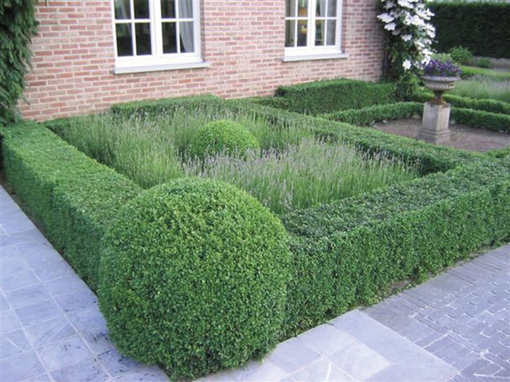 jardin de devant à faire soi-même