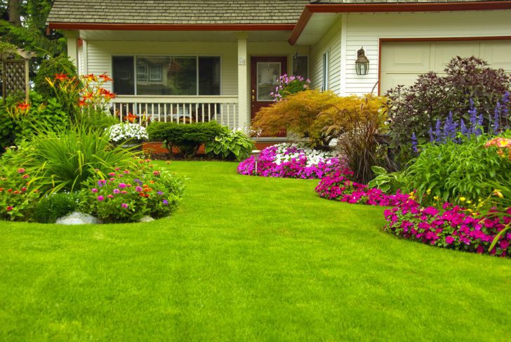 jardin de devant à faire soi-même