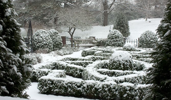 arbustes pour le jardin