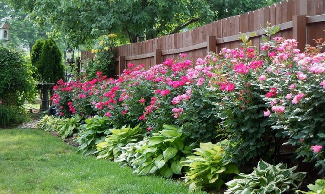 jardin de devant à faire soi-même