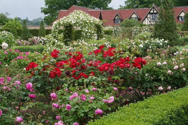 jardin de devant à faire soi-même