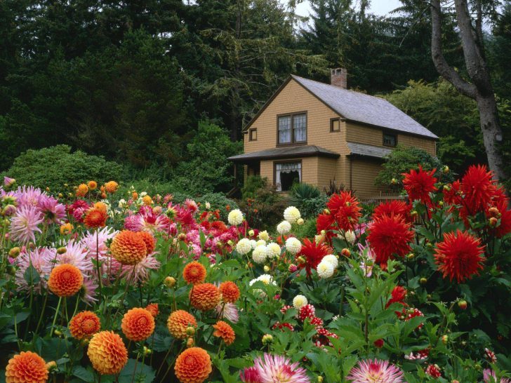 jardin de devant à faire soi-même