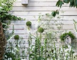 Fleurs blanches pour le jardin : le triomphe de l'innocence et de la grâce