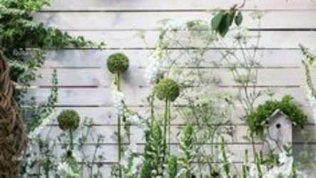 Fleurs blanches pour le jardin : le triomphe de l'innocence et de la grâce