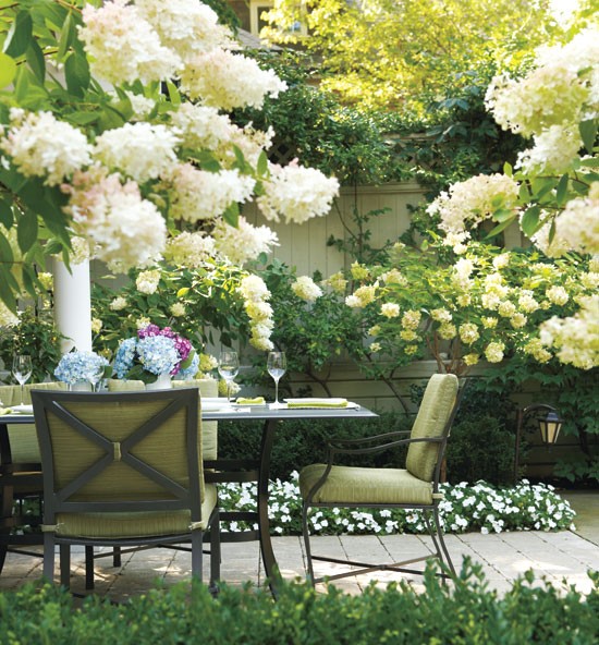 fleurs blanches pour le jardin