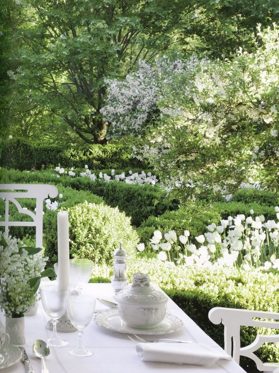 fleurs blanches pour le jardin