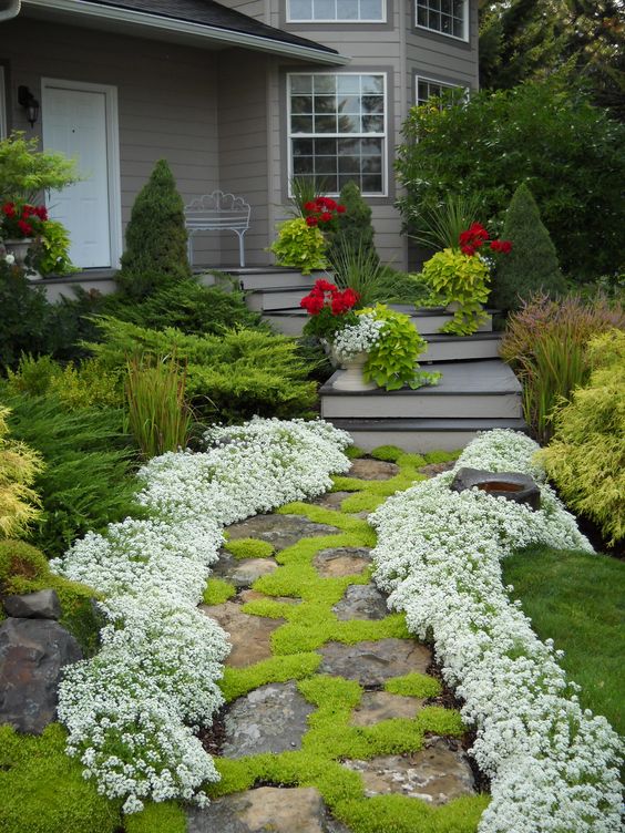 fleurs blanches pour le jardin