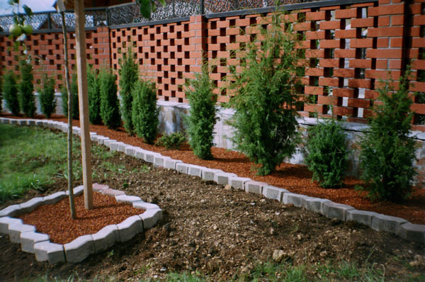 arbres et arbustes le long de la clôture et des chemins