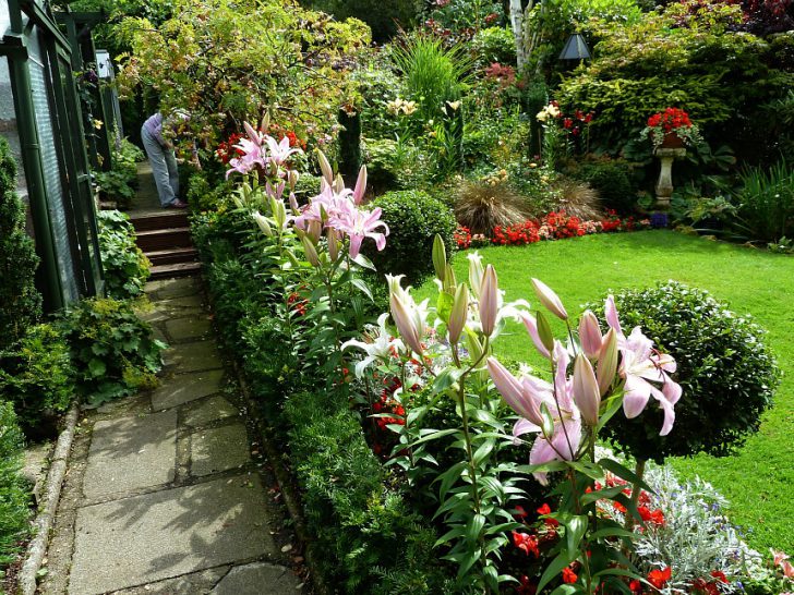 fleurs blanches pour le jardin