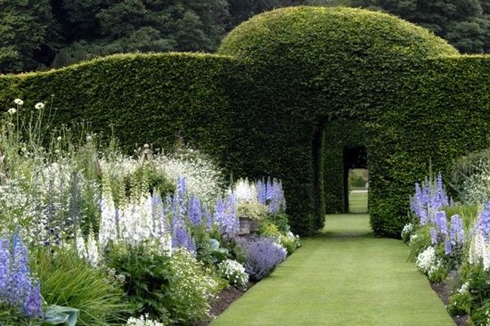 fleurs blanches pour le jardin