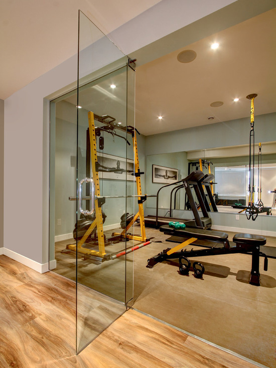 3421c321046a6e8c_1094-w550-h734-b0-p0-contemporary-home-gym