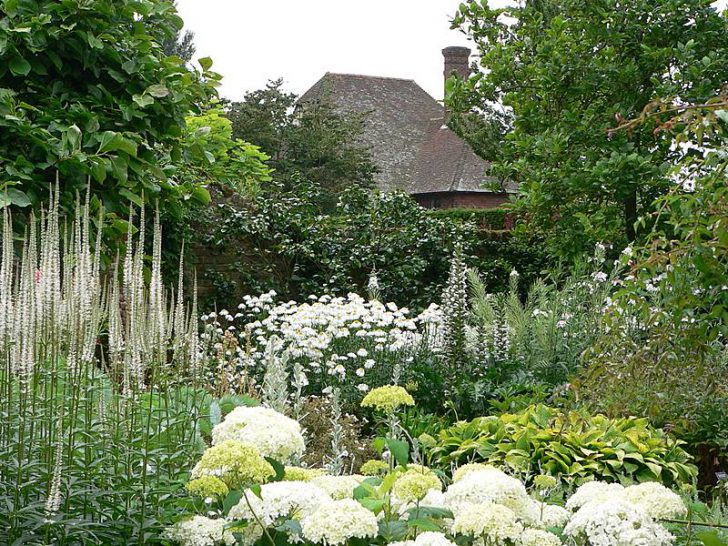 fleurs blanches pour le jardin