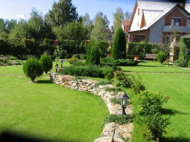 arbres et arbustes le long de la clôture et des chemins