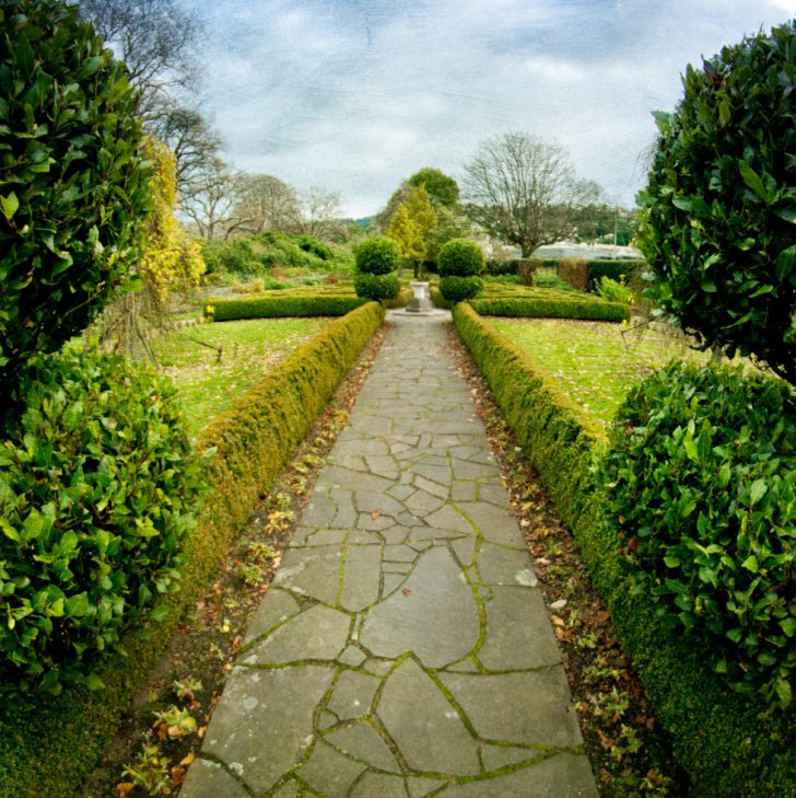 arbres et arbustes le long de la clôture et des chemins