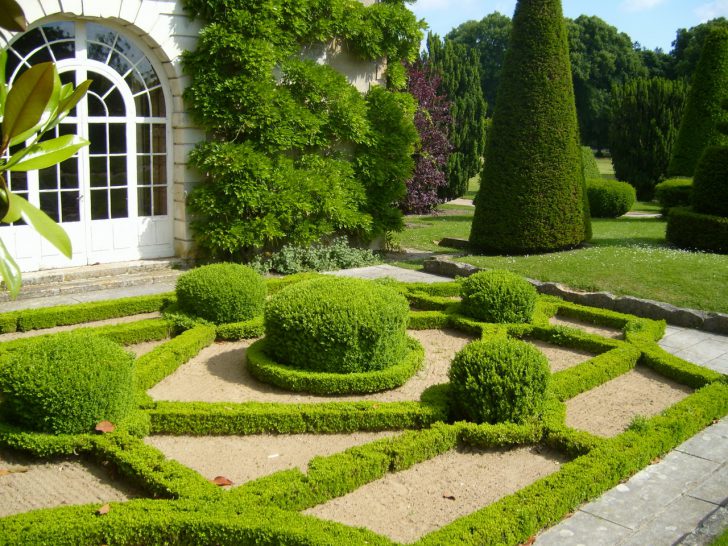 arbres et arbustes le long de la clôture et des chemins