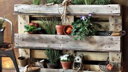 Palettes à leur chalet d'été