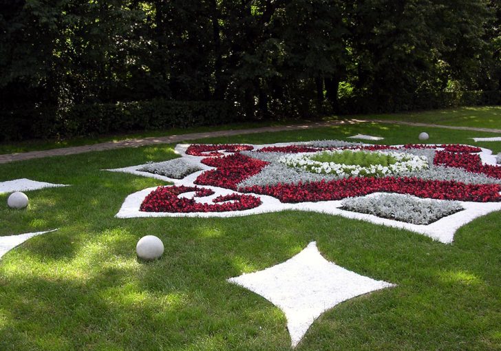 beau mini parterre de fleurs