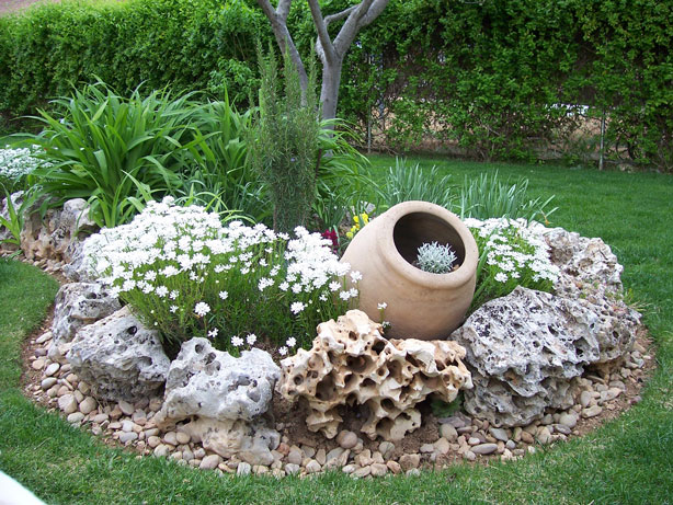 beau mini parterre de fleurs