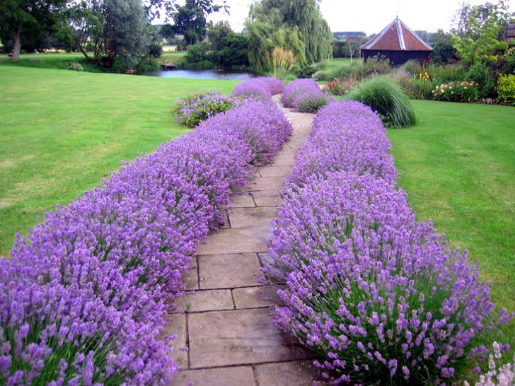 comment décorer un jardin