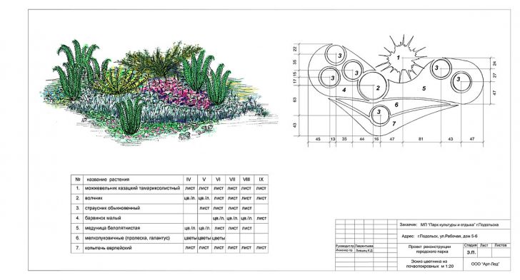 beau mini parterre de fleurs