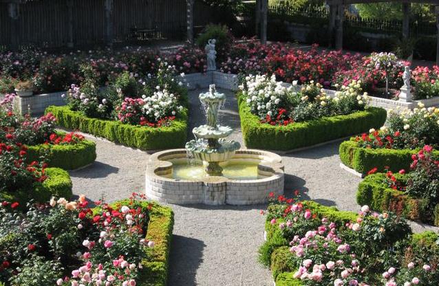 jardin fleuri à la campagne