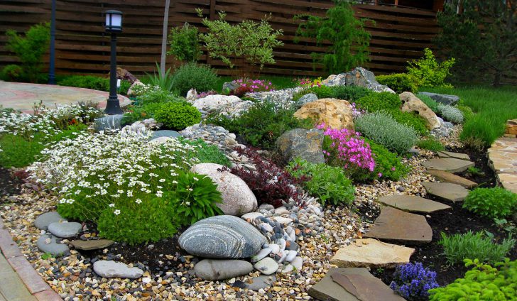 jardin fleuri à la campagne