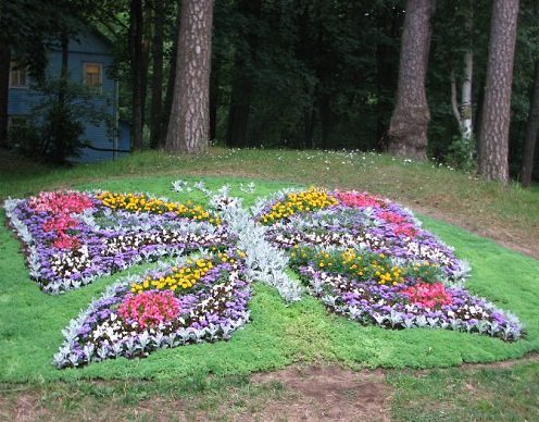 jardin fleuri à la campagne