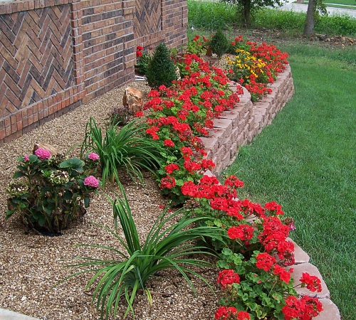 beau mini parterre de fleurs