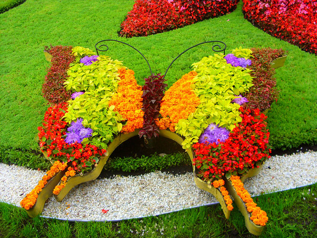 jardin fleuri à la campagne