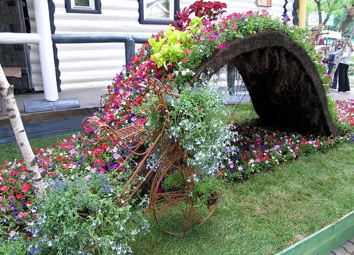 jardin fleuri à la campagne