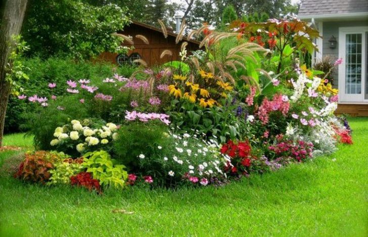 jardin fleuri à la campagne