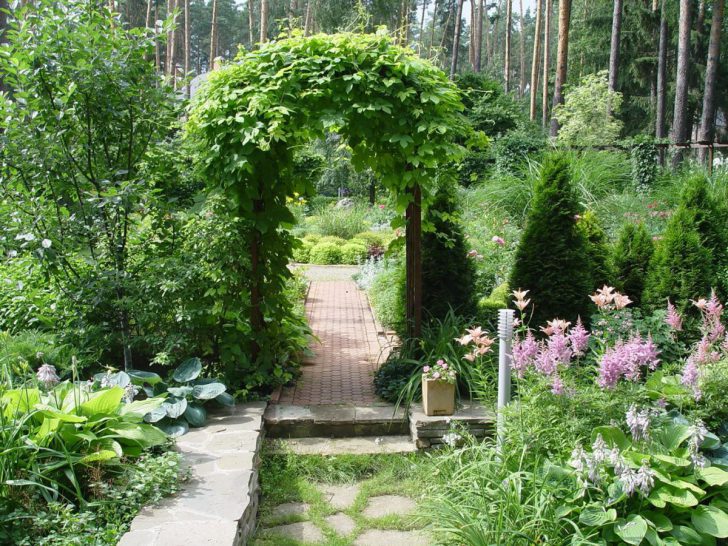 planification de parcelles de jardin