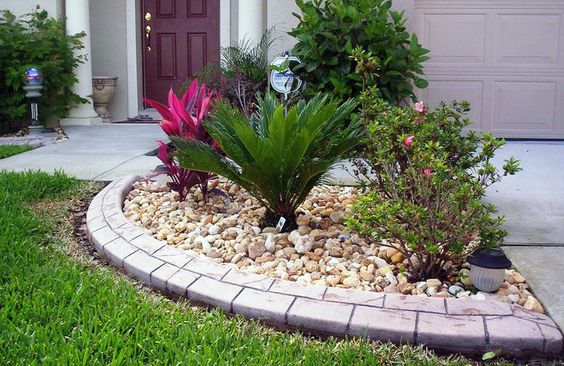 beau mini parterre de fleurs