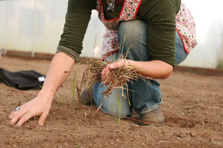 travail d'automne dans le pays