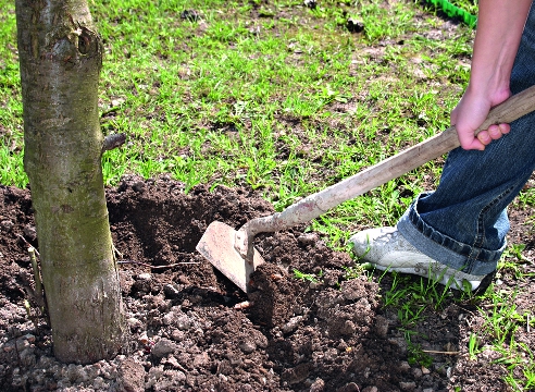 travail d'automne dans le pays