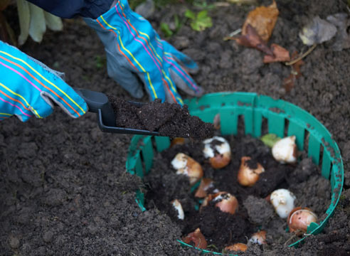 travail d'automne dans le pays