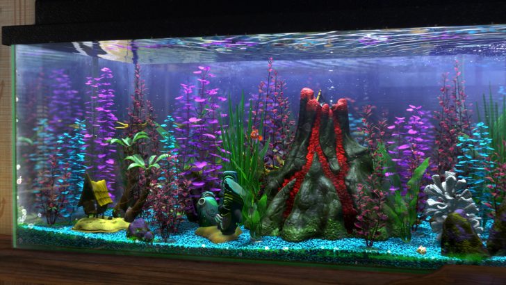 décoration d'aquarium à faire soi-même