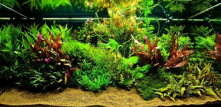 décoration d'aquarium à faire soi-même