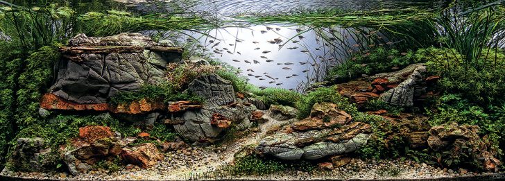 décoration d'aquarium à faire soi-même