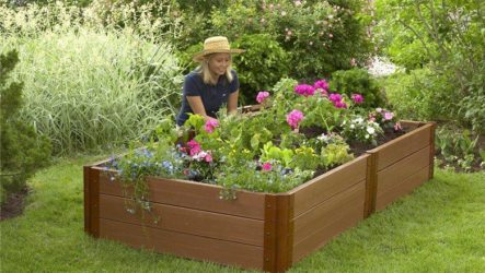 Clôtures et bordures dans la conception de jardins