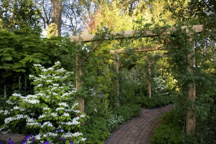 pergola de jardin