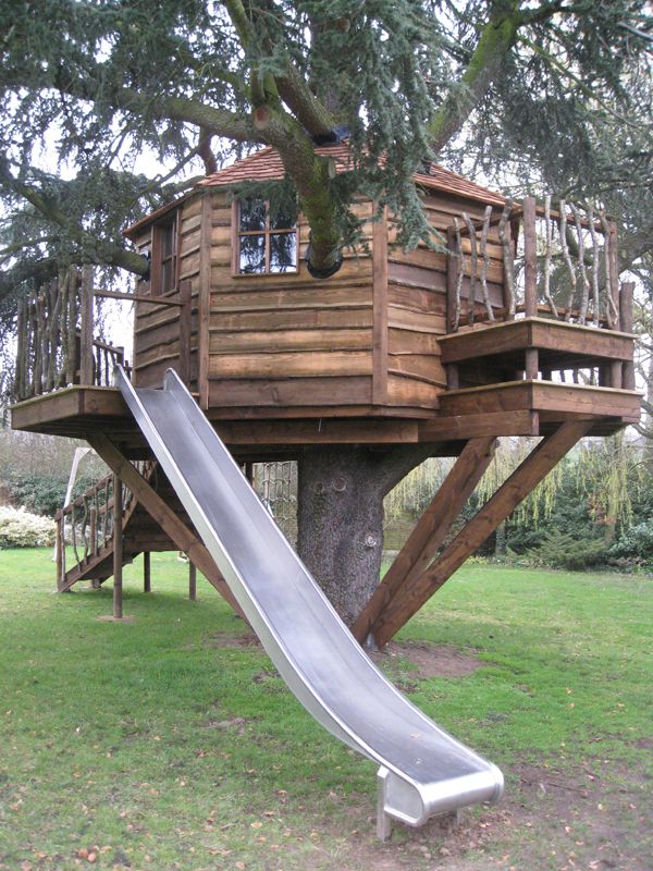 cabane dans les arbres