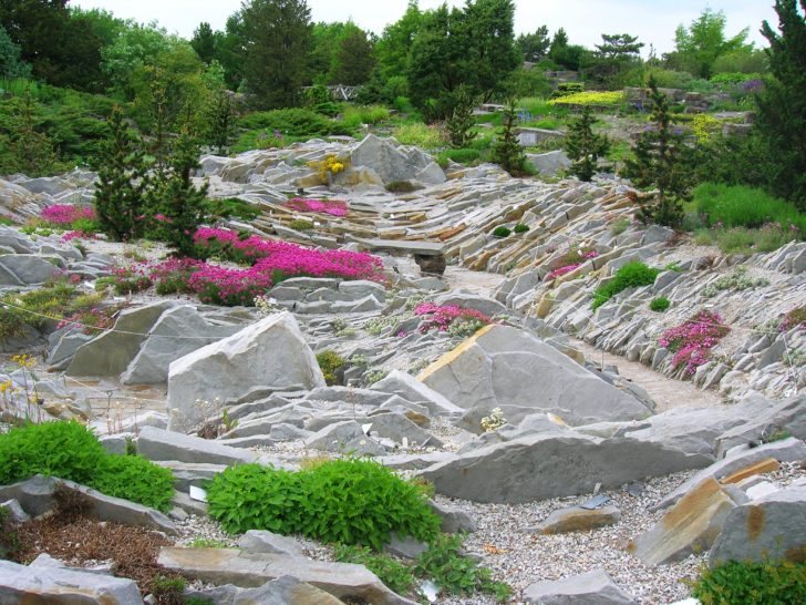 jardin de roches